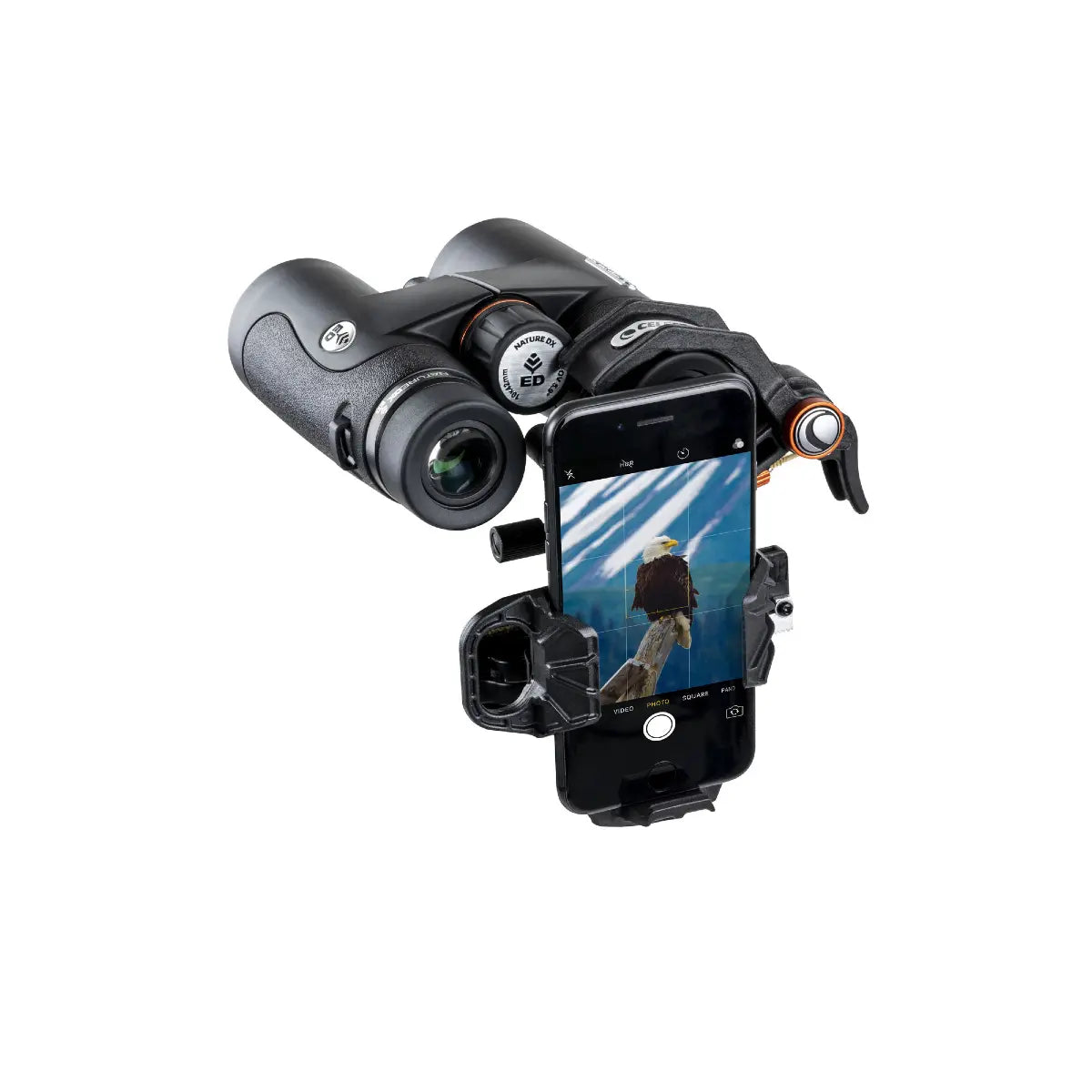 Binoculars with a smartphone attachment displaying an eagle image on a white background