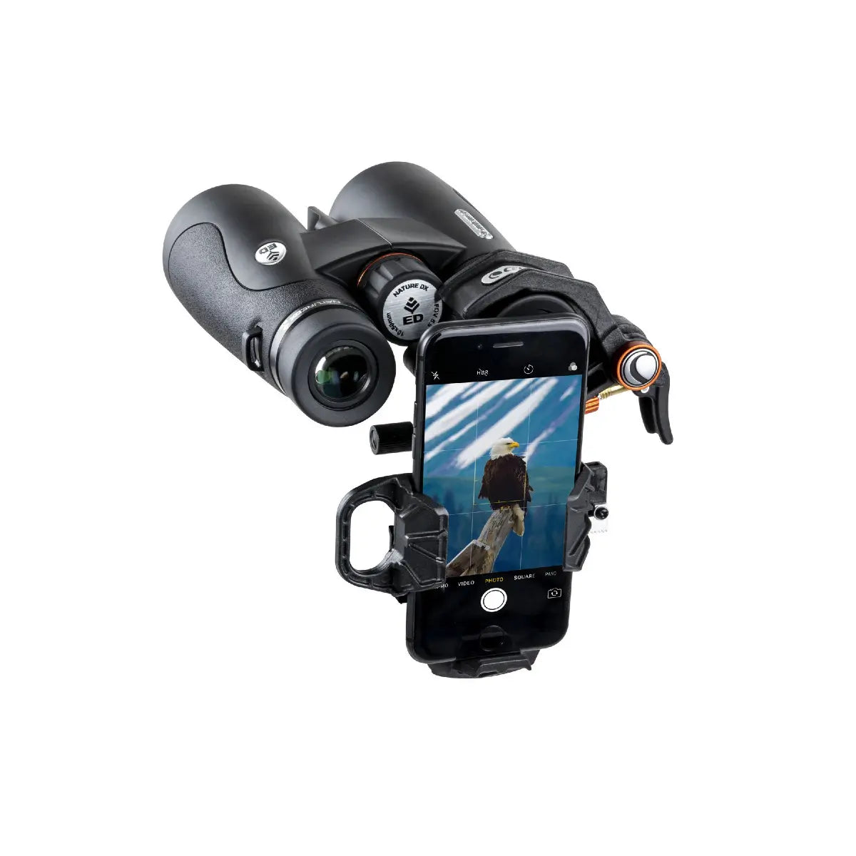 Binoculars with a smartphone holder displaying an eagle image on a white background