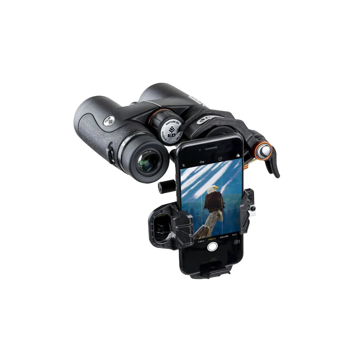 Binoculars with a smartphone holder displaying an eagle image on a white background