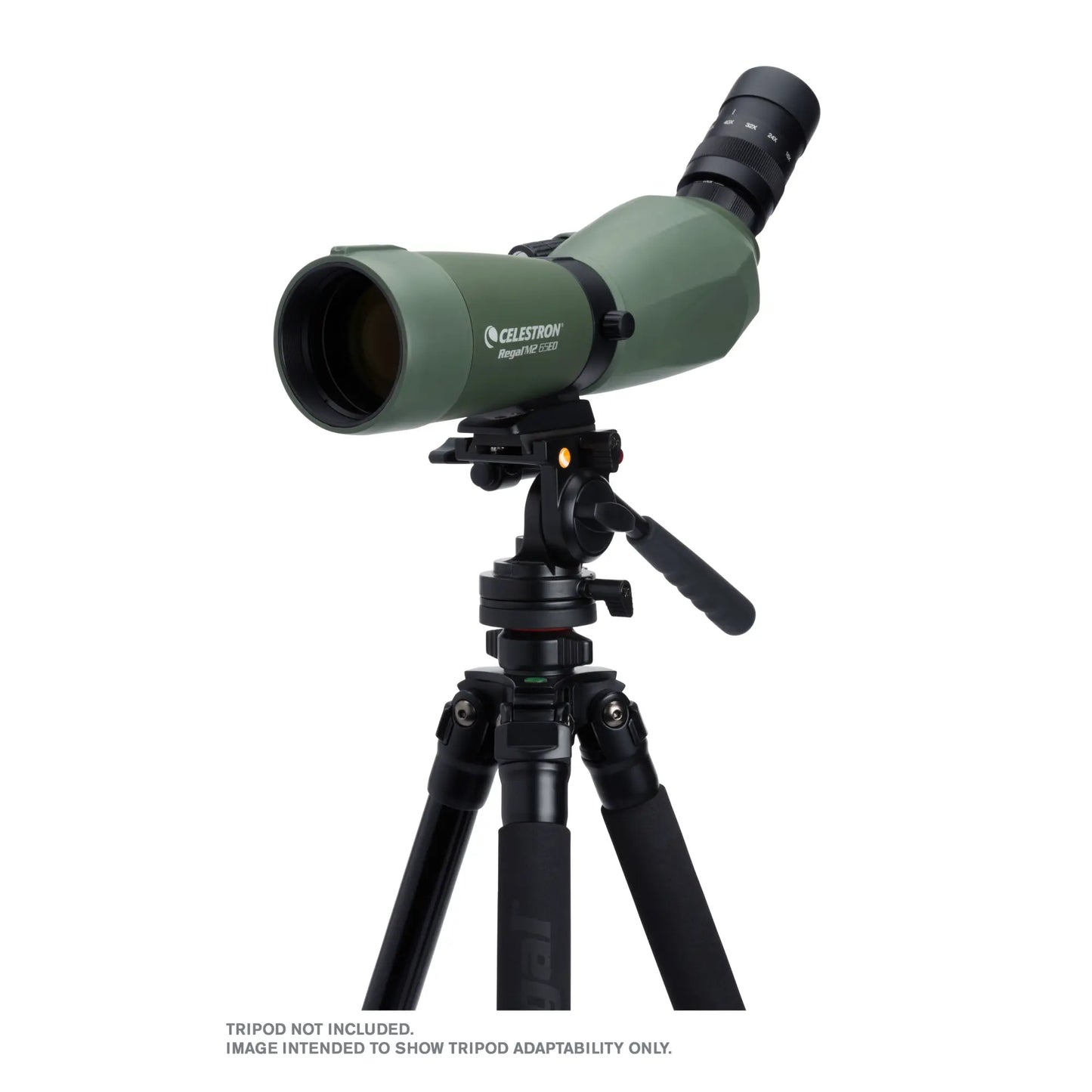 Celestron Regal M2 16–48x65 ED Angled Zoom Spotting Scope