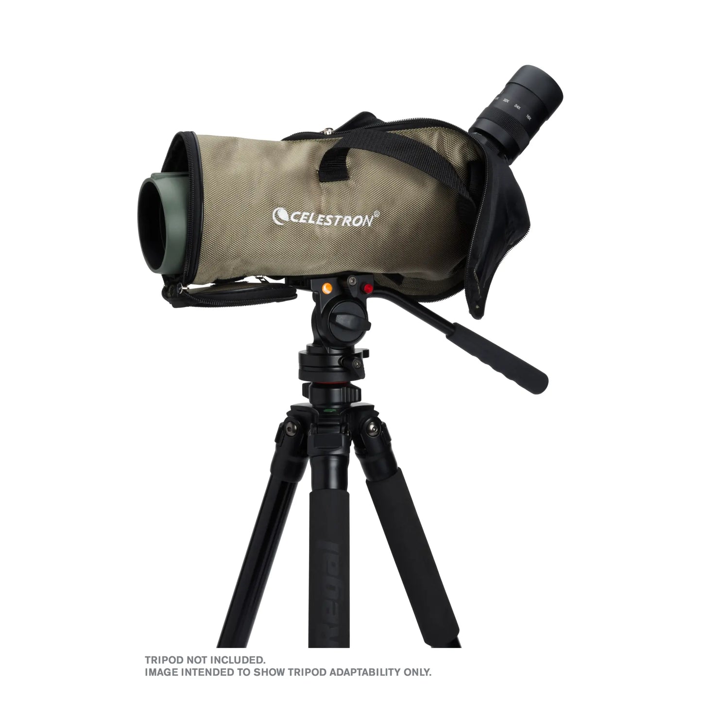 Celestron Regal M2 16–48x65 ED Angled Zoom Spotting Scope