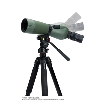 Celestron Regal M2 16–48x65 ED Angled Zoom Spotting Scope