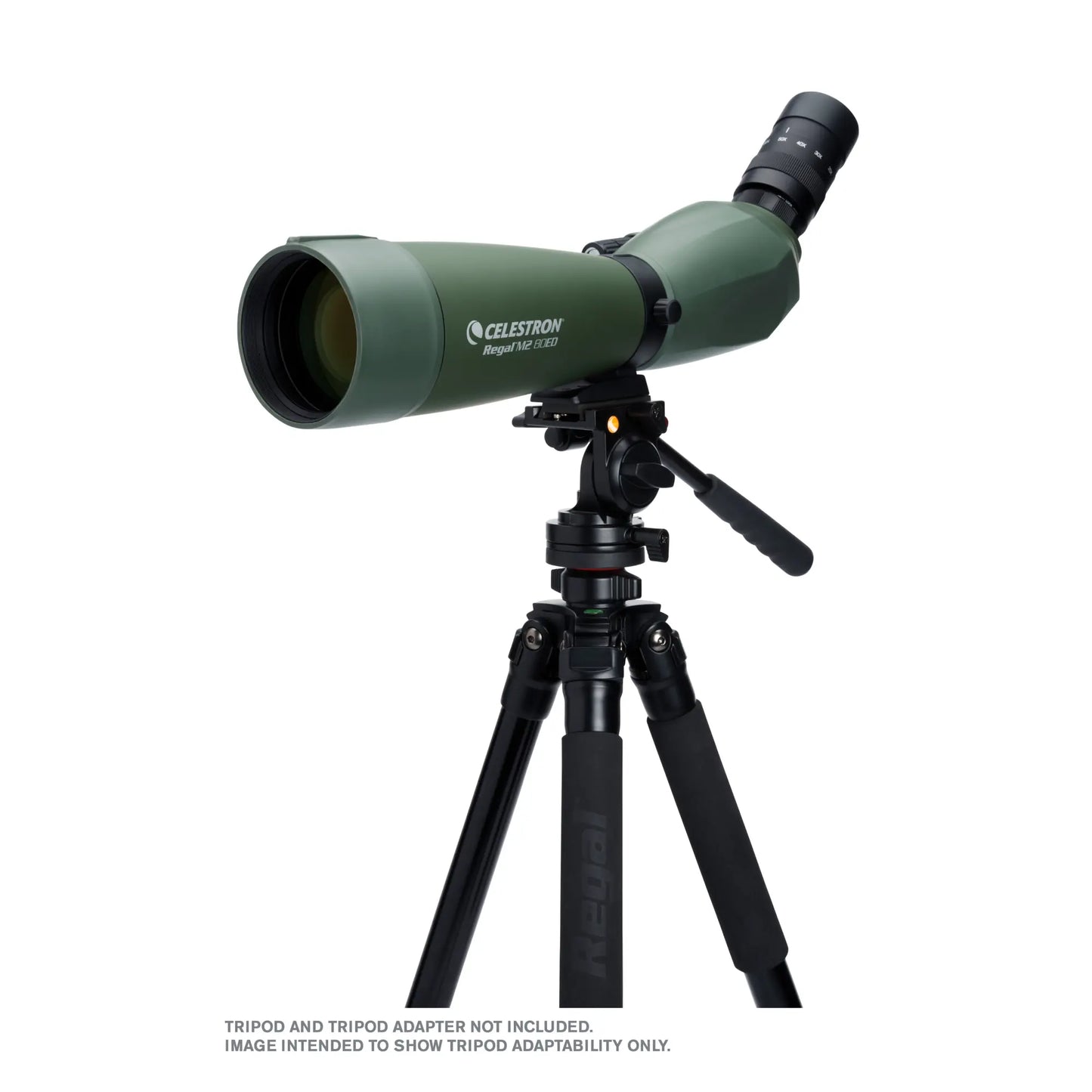 Celestron Regal M2 80ED Spotting Scope