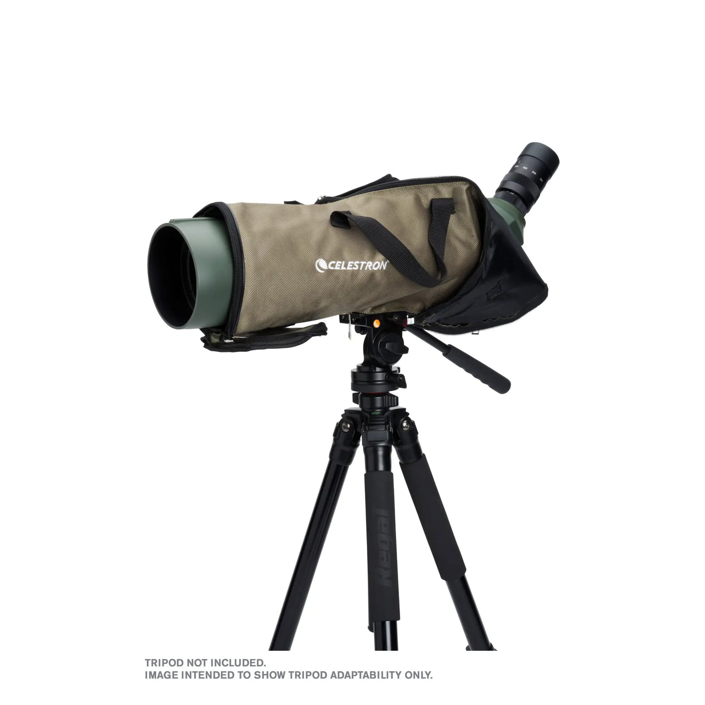 Celestron Regal M2 22–67x100 ED Angled Zoom Spotting Scope