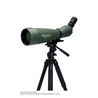 Celestron Regal M2 22–67x100 ED Angled Zoom Spotting Scope