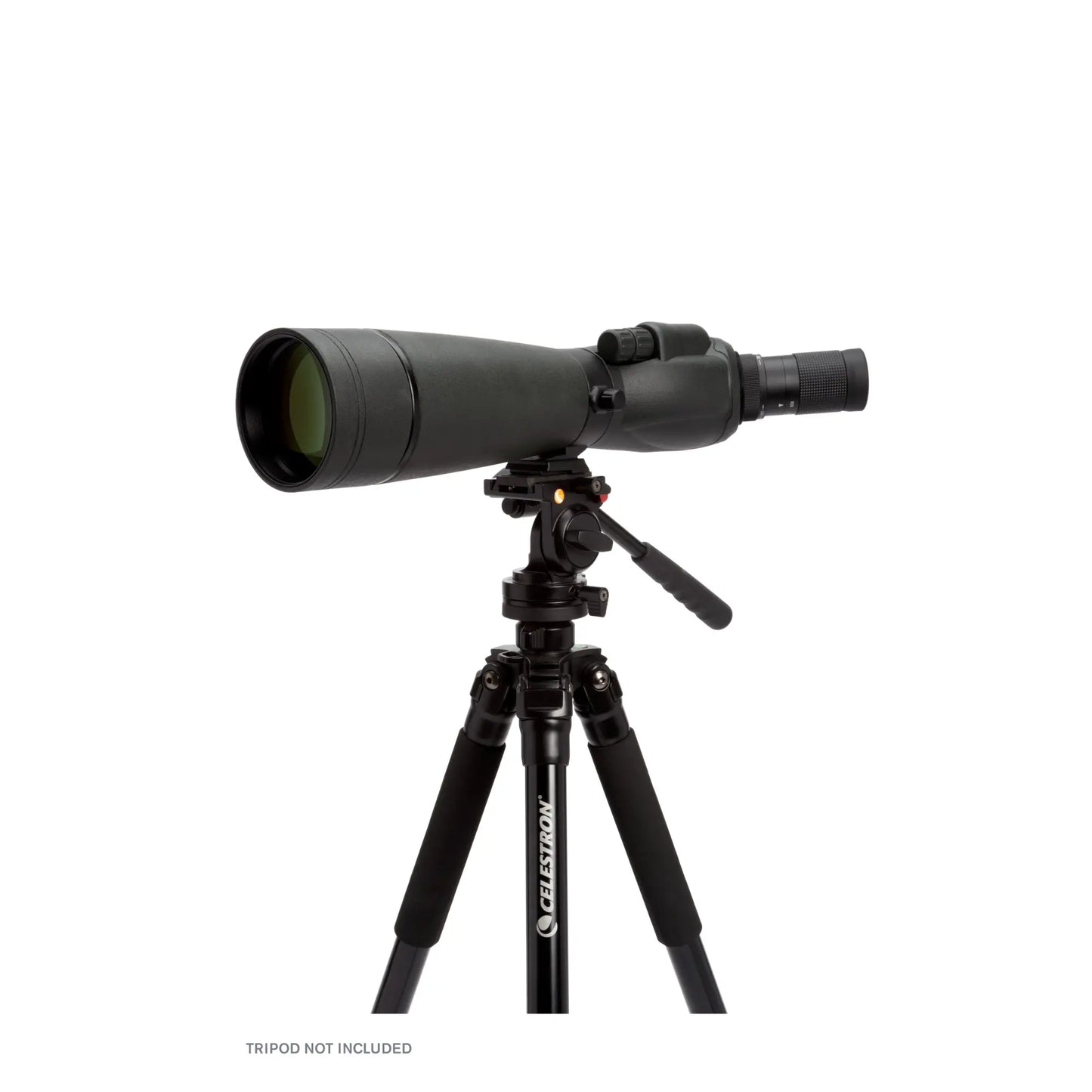 Celestron TrailSeeker 20–60x80 Angled Zoom Spotting Scope