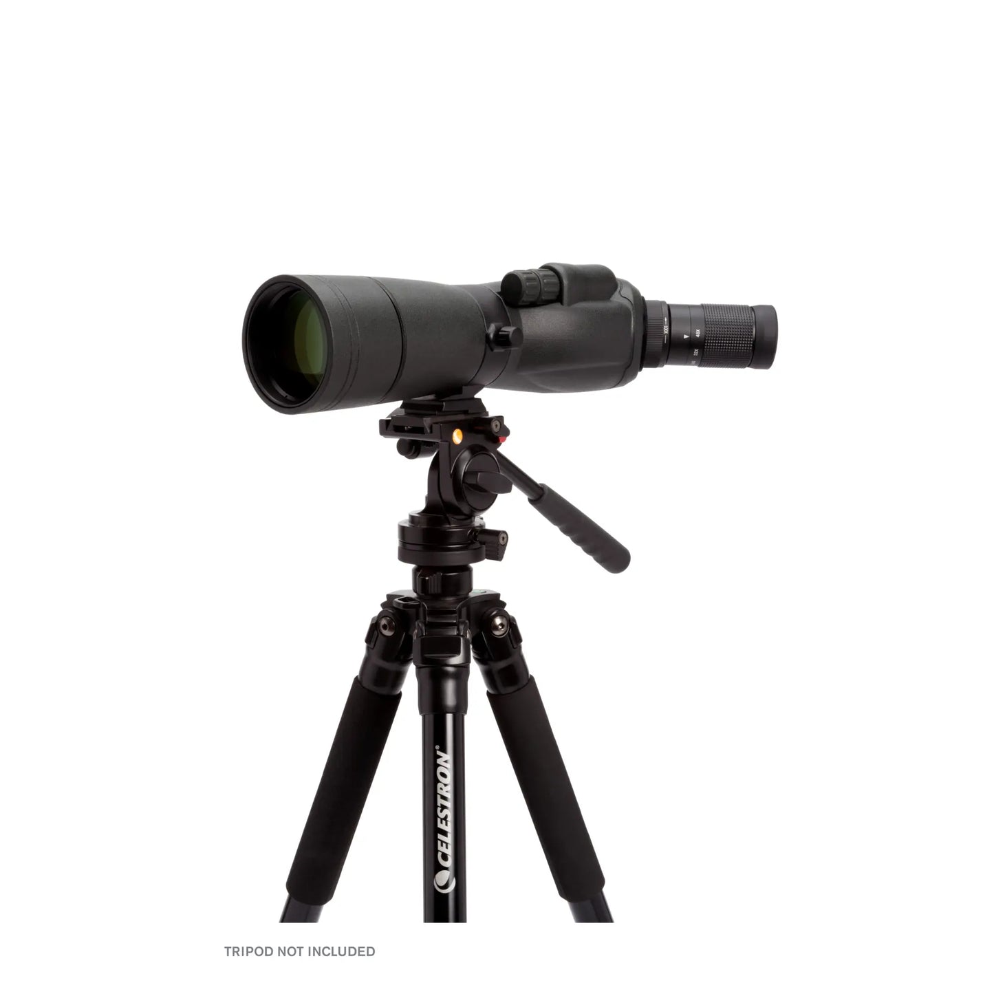 Celestron TrailSeeker 16–48x65 Angled Zoom Spotting Scope
