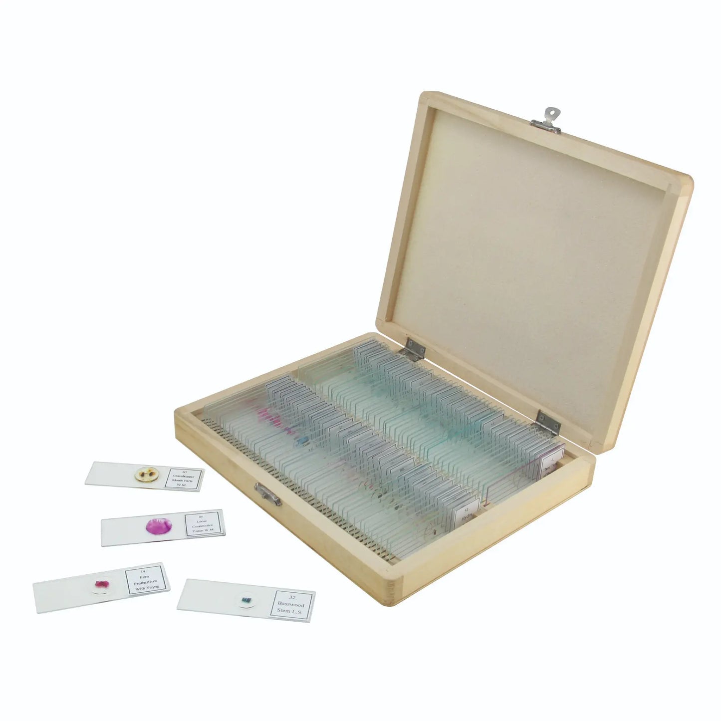 Celestron 100-Piece Prepared Microscope Slide Kit