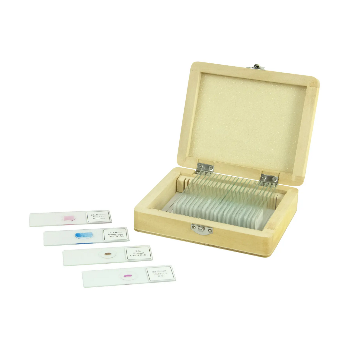 Celestron 25-Piece Prepared Microscope Slide Kit