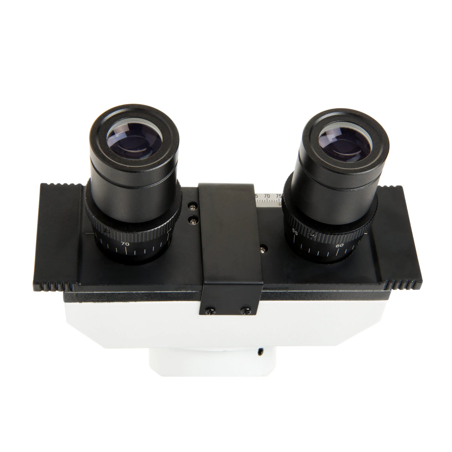 Celestron Labs CB2000CF Compound Binocular Microscope
