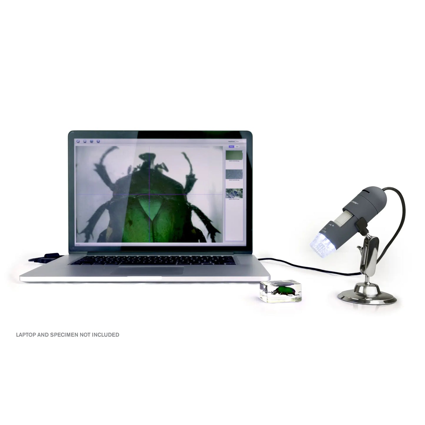 Celestron Deluxe Handheld Digital Microscope
