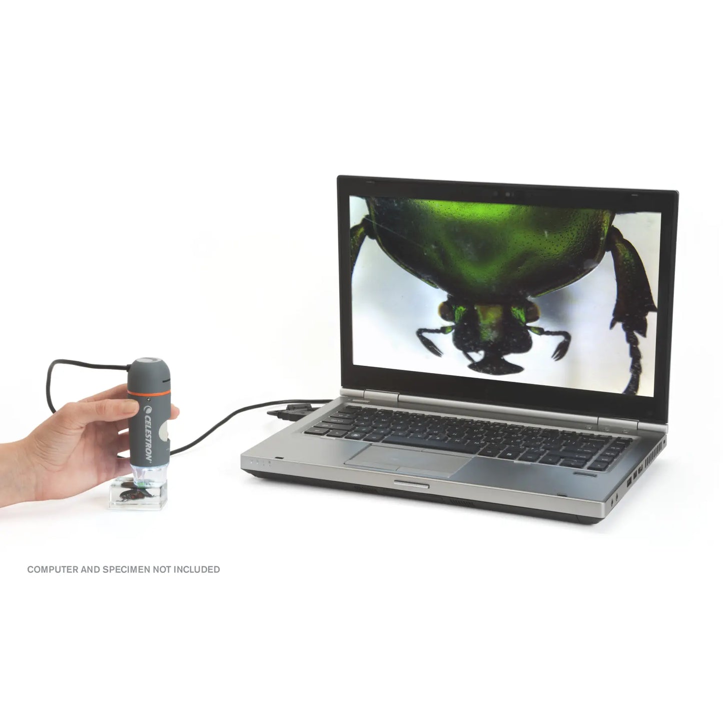 Celestron Handheld Digital Microscope Pro