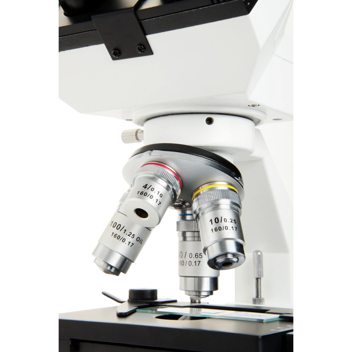 Celestron Labs CM2000CF Compound Microscope