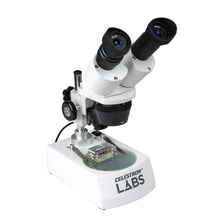 Celestron Labs S10–60 Stereo Microscope