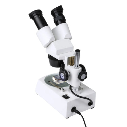 Celestron Labs S10–60 Stereo Microscope