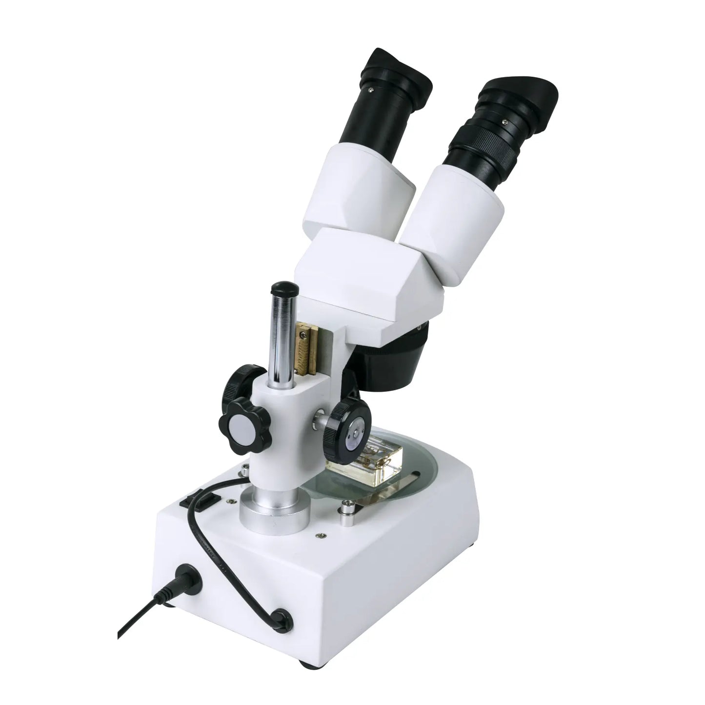 Celestron Labs S10–60 Stereo Microscope
