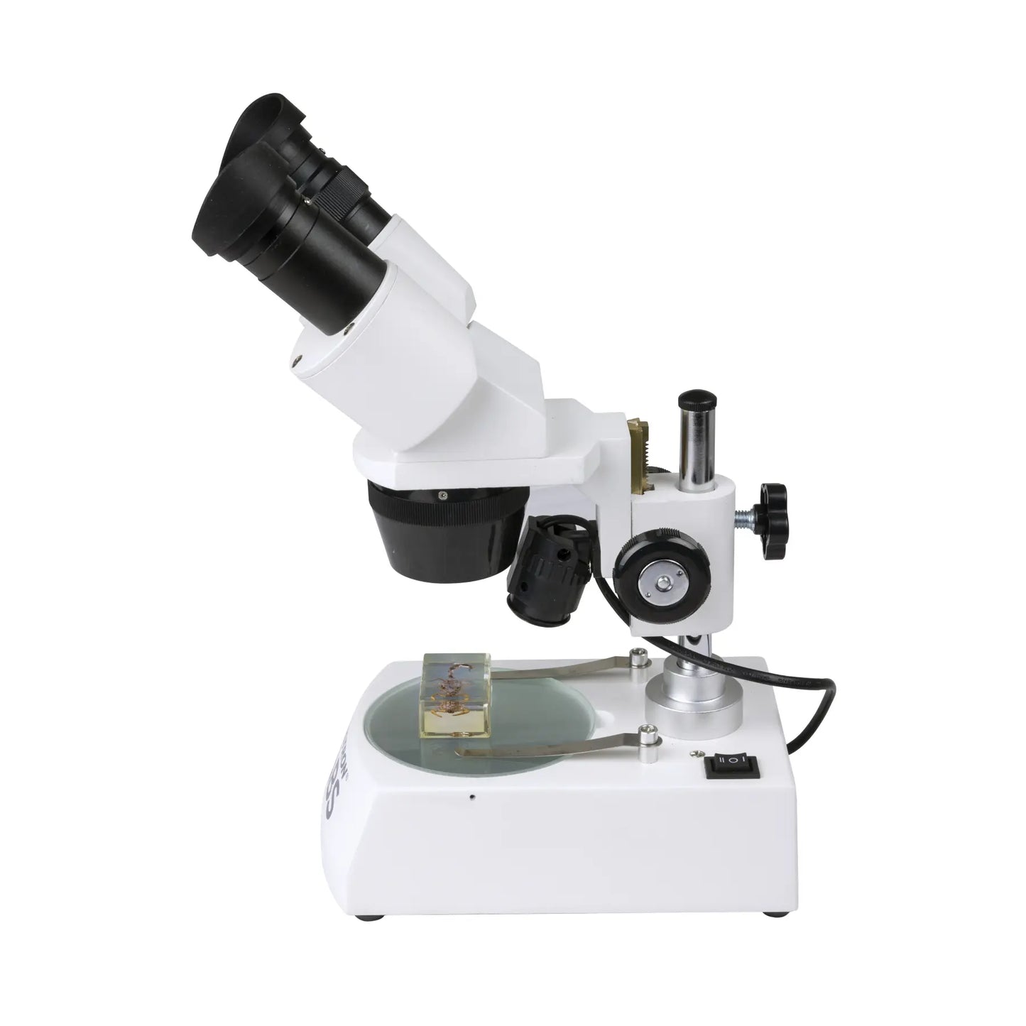 Celestron Labs S10–60 Stereo Microscope