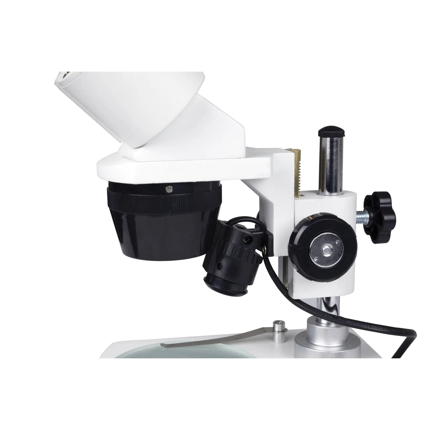 Celestron Labs S10–60 Stereo Microscope