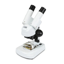Celestron Labs S20 Stereo Microscope