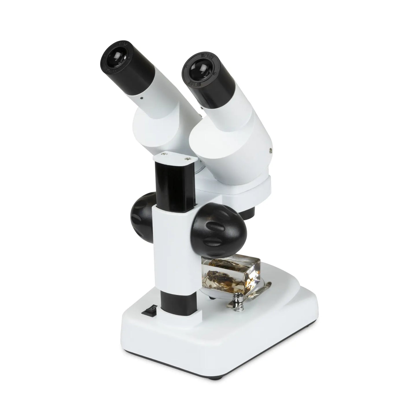 Celestron Labs S20 Stereo Microscope