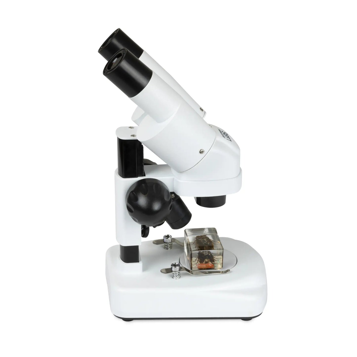 Celestron Labs S20 Stereo Microscope