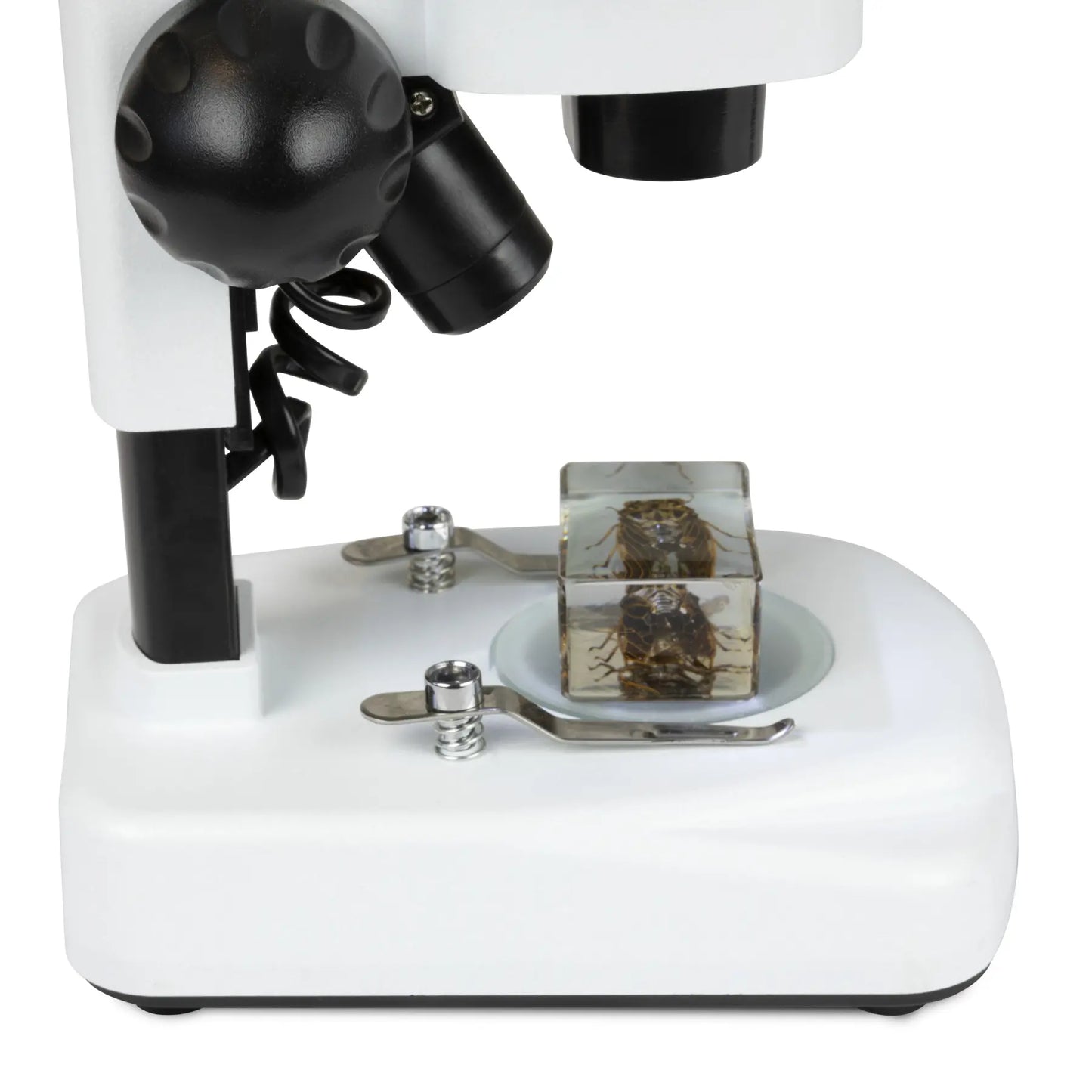 Celestron Labs S20 Stereo Microscope