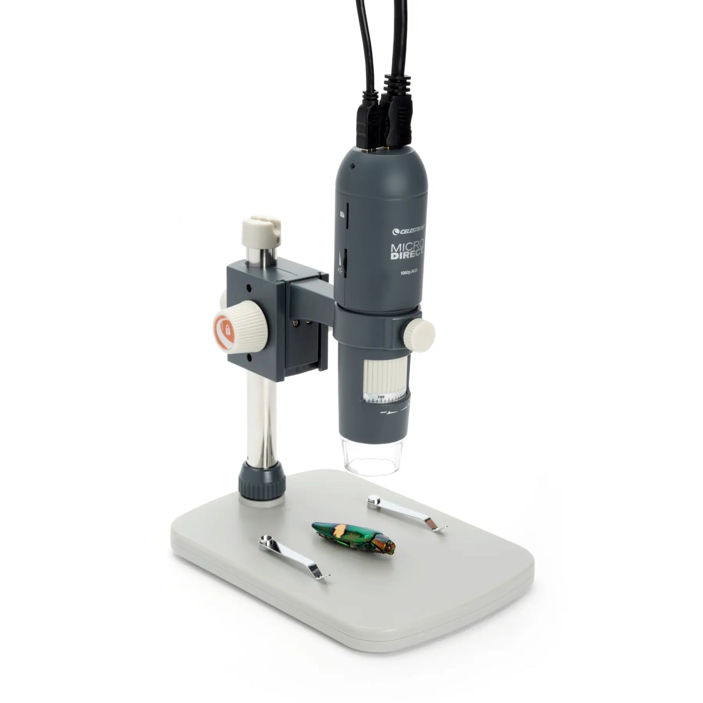Celestron MicroDirect 1080p HD Handheld Digital Microscope