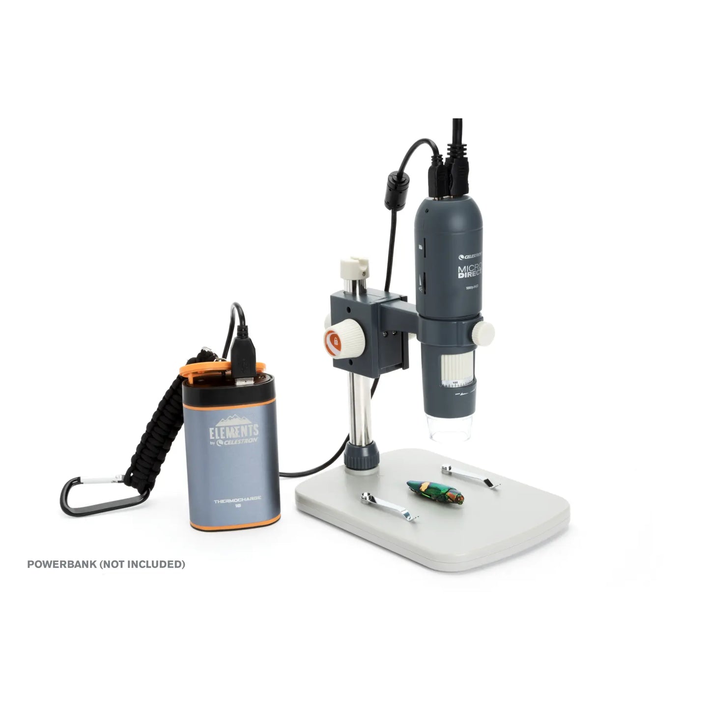 Celestron MicroDirect 1080p HD Handheld Digital Microscope