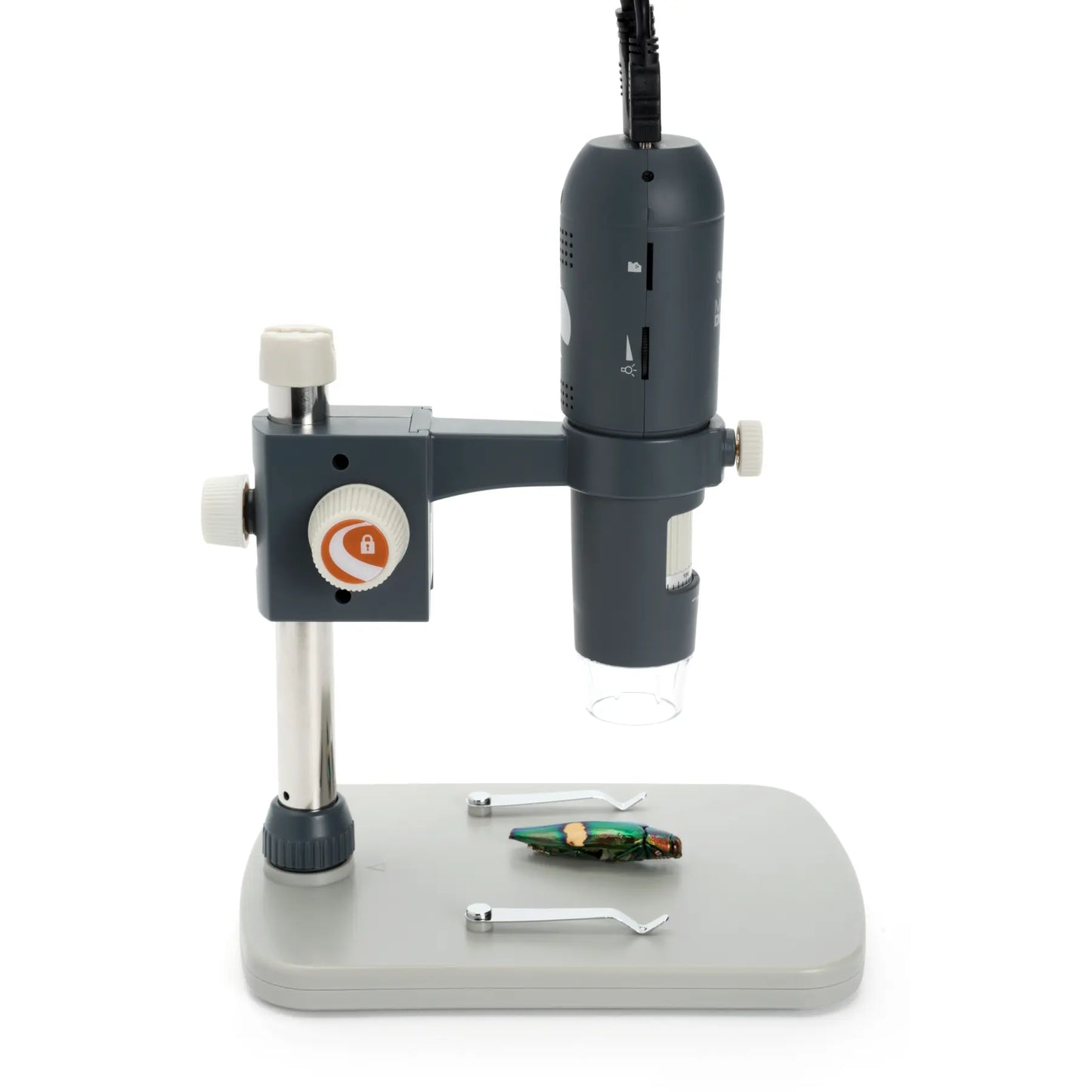 Celestron MicroDirect 1080p HD Handheld Digital Microscope